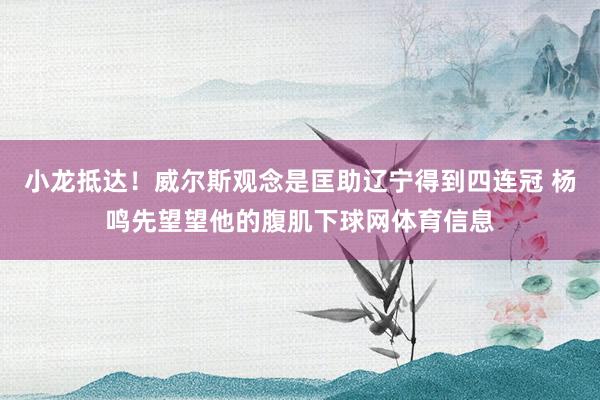 小龙抵达！威尔斯观念是匡助辽宁得到四连冠 杨鸣先望望他的腹肌下球网体育信息