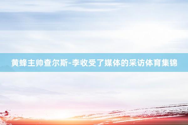 黄蜂主帅查尔斯-李收受了媒体的采访体育集锦