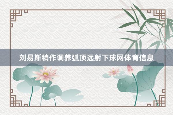 刘易斯稍作调养弧顶远射下球网体育信息