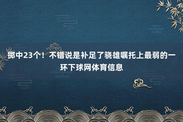 掷中23个！不错说是补足了骁雄嘱托上最弱的一环下球网体育信息