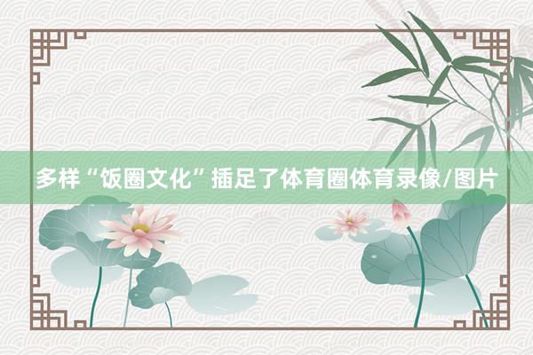 多样“饭圈文化”插足了体育圈体育录像/图片