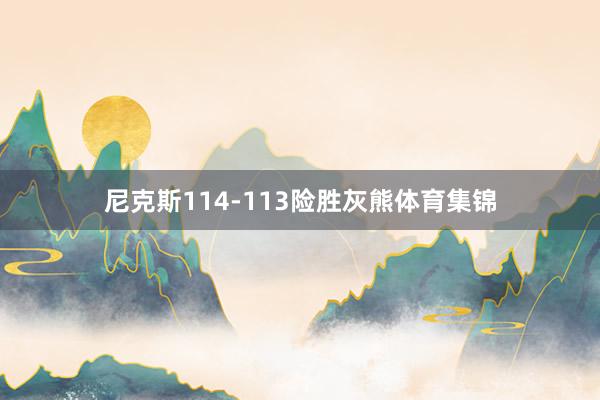 尼克斯114-113险胜灰熊体育集锦
