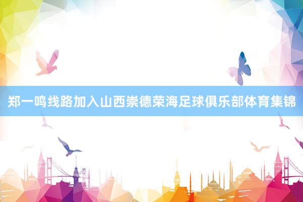 郑一鸣线路加入山西崇德荣海足球俱乐部体育集锦