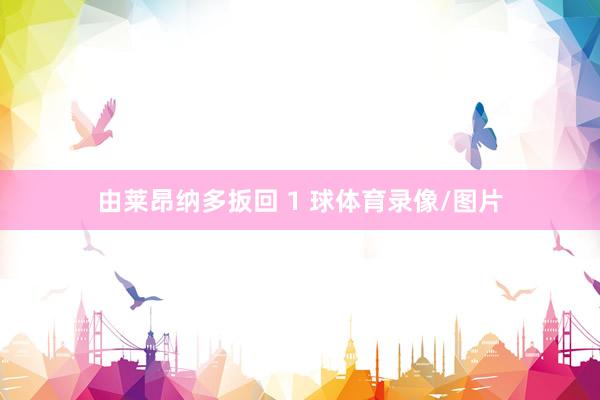 由莱昂纳多扳回 1 球体育录像/图片