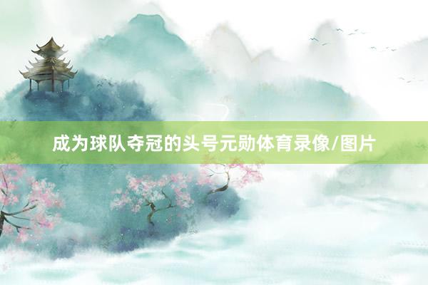 成为球队夺冠的头号元勋体育录像/图片