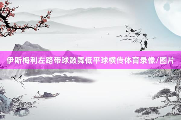 伊斯梅利左路带球鼓舞低平球横传体育录像/图片