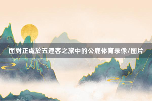 面對正處於五連客之旅中的公鹿体育录像/图片