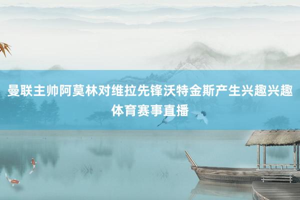 曼联主帅阿莫林对维拉先锋沃特金斯产生兴趣兴趣体育赛事直播