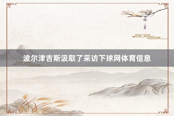 波尔津吉斯汲取了采访下球网体育信息