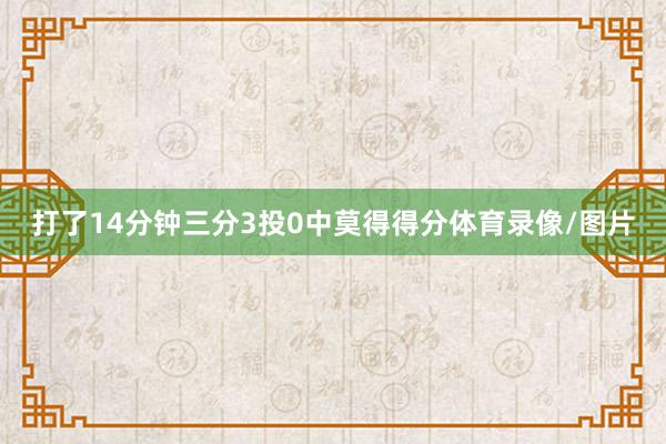 打了14分钟三分3投0中莫得得分体育录像/图片