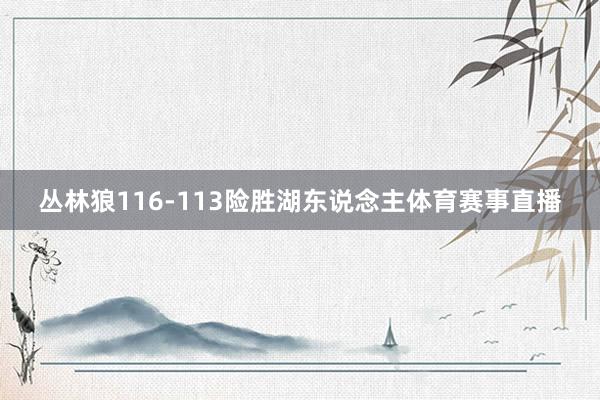 丛林狼116-113险胜湖东说念主体育赛事直播