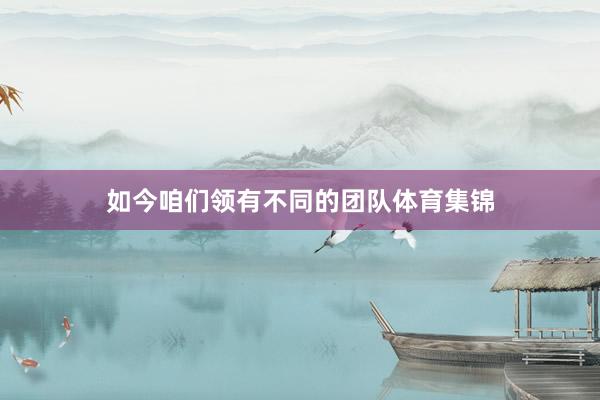 如今咱们领有不同的团队体育集锦