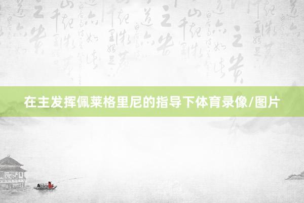 在主发挥佩莱格里尼的指导下体育录像/图片