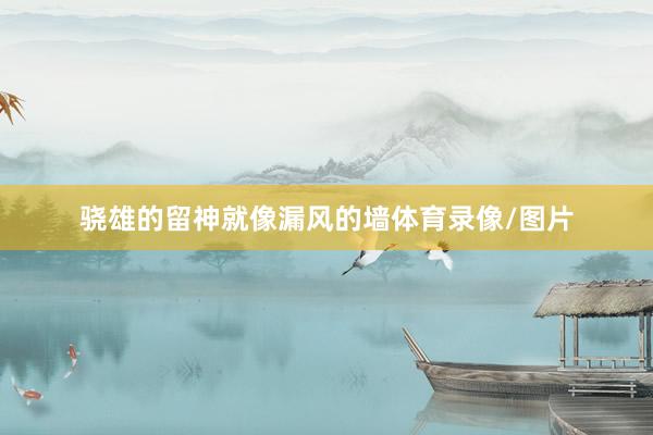 骁雄的留神就像漏风的墙体育录像/图片