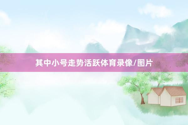其中小号走势活跃体育录像/图片