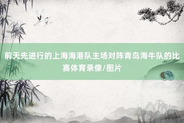 前天先进行的上海海港队主场对阵青岛海牛队的比赛体育录像/图片