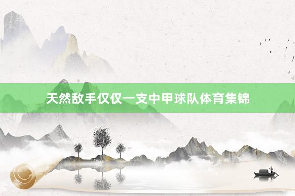 天然敌手仅仅一支中甲球队体育集锦