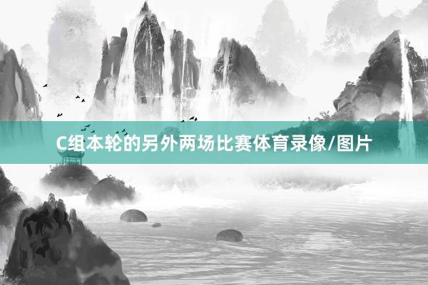 C组本轮的另外两场比赛体育录像/图片