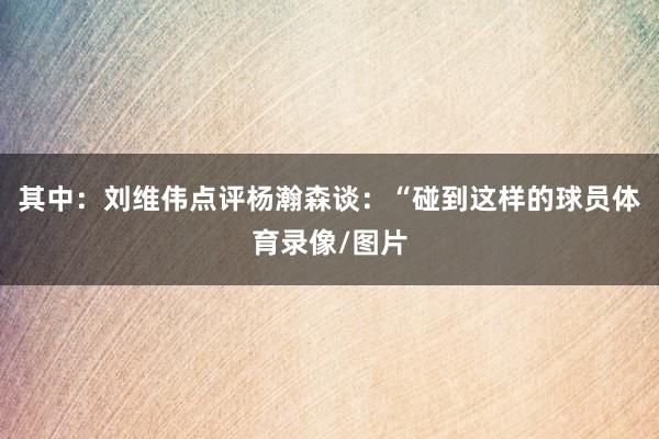 其中：刘维伟点评杨瀚森谈：“碰到这样的球员体育录像/图片