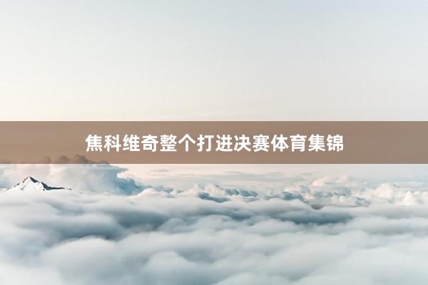 焦科维奇整个打进决赛体育集锦