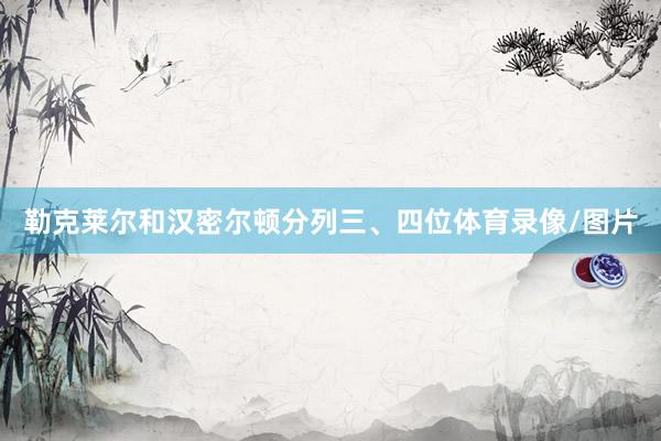 勒克莱尔和汉密尔顿分列三、四位体育录像/图片
