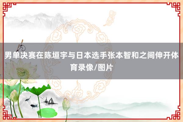 男单决赛在陈垣宇与日本选手张本智和之间伸开体育录像/图片