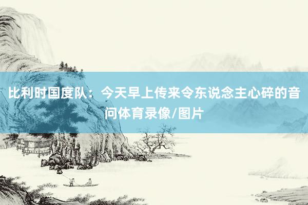 比利时国度队：今天早上传来令东说念主心碎的音问体育录像/图片