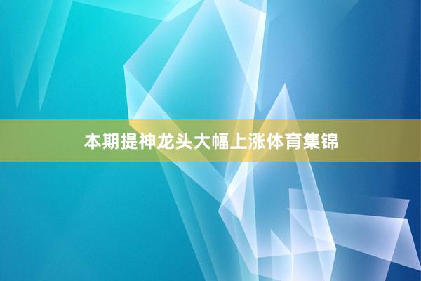 本期提神龙头大幅上涨体育集锦