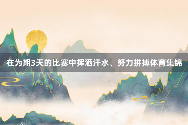 在为期3天的比赛中挥洒汗水、努力拼搏体育集锦