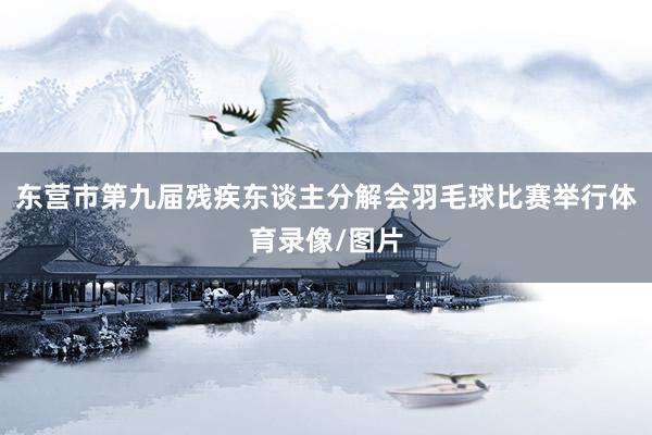东营市第九届残疾东谈主分解会羽毛球比赛举行体育录像/图片