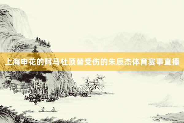 上海申花的阿马杜顶替受伤的朱辰杰体育赛事直播