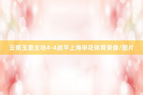 云南玉昆主场4-4战平上海申花体育录像/图片