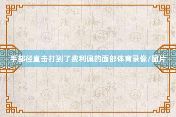 手部径直击打到了费利佩的面部体育录像/图片