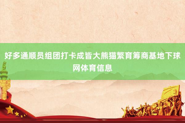 好多通顺员组团打卡成皆大熊猫繁育筹商基地下球网体育信息