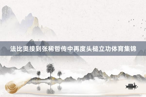法比奥接到张稀哲传中再度头槌立功体育集锦