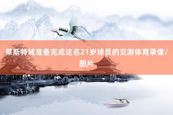 莱斯特城准备完成这名21岁球员的交游体育录像/图片
