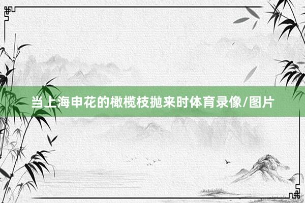 当上海申花的橄榄枝抛来时体育录像/图片