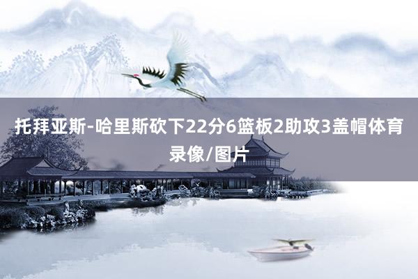 托拜亚斯-哈里斯砍下22分6篮板2助攻3盖帽体育录像/图片