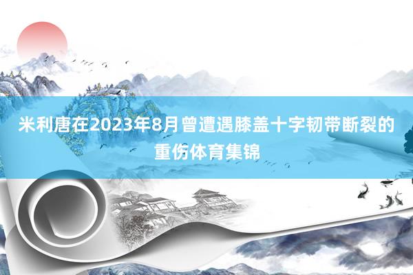米利唐在2023年8月曾遭遇膝盖十字韧带断裂的重伤体育集锦