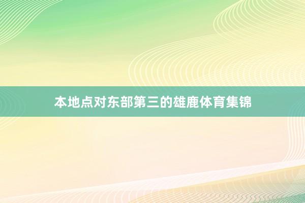 本地点对东部第三的雄鹿体育集锦