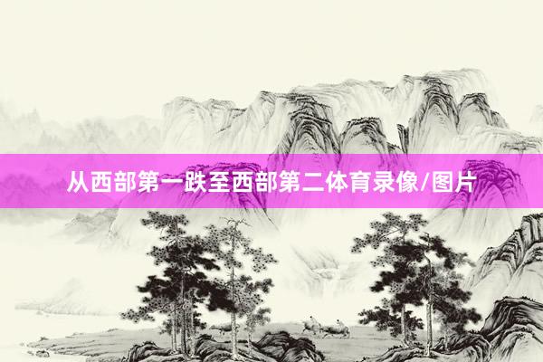 从西部第一跌至西部第二体育录像/图片