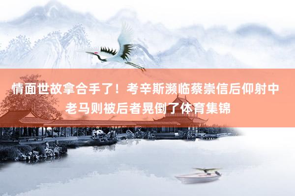 情面世故拿合手了！考辛斯濒临蔡崇信后仰射中 老马则被后者晃倒了体育集锦