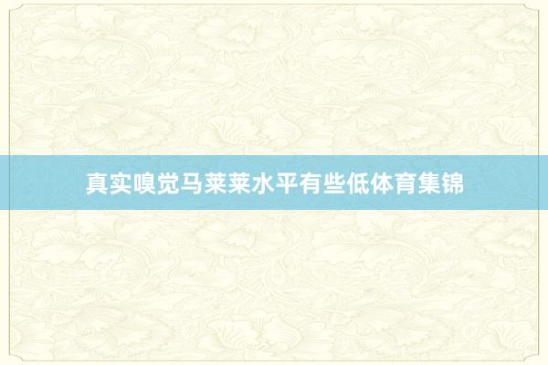 真实嗅觉马莱莱水平有些低体育集锦